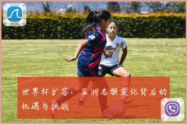 世界杯扩容,亚洲名额变化背后的机遇与挑战
