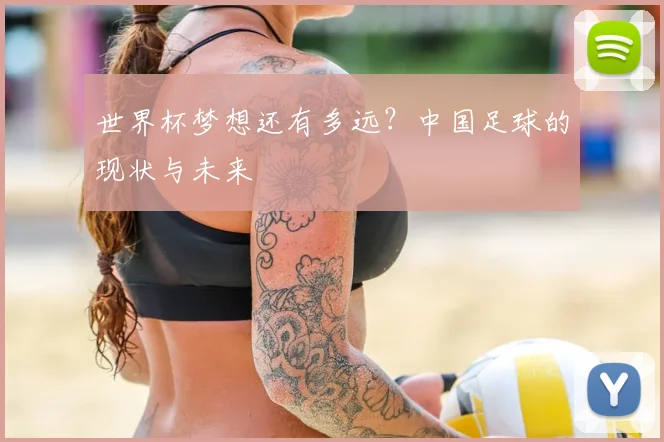 世界杯梦想还有多远?中国足球的现状与未来