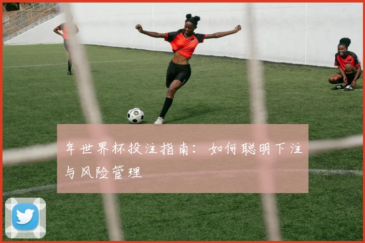 年世界杯投注指南：如何聪明下注与风险管理