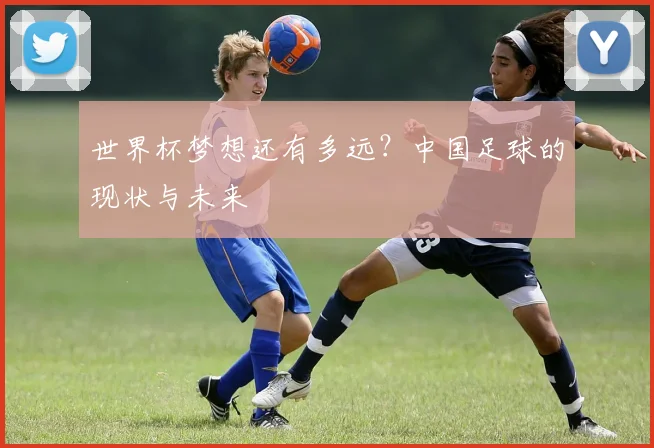 世界杯梦想还有多远?中国足球的现状与未来