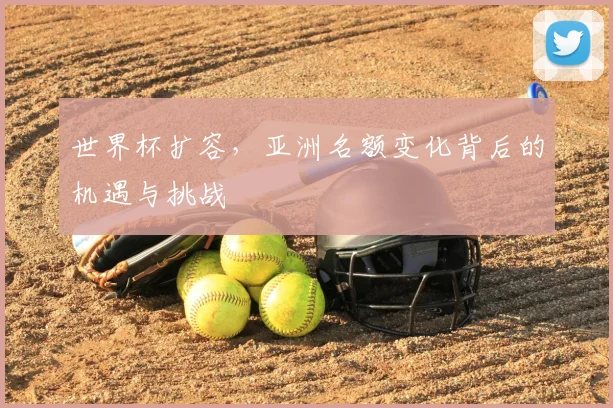 世界杯扩容,亚洲名额变化背后的机遇与挑战