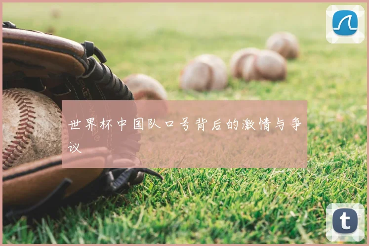 世界杯中国队口号背后的激情与争议
