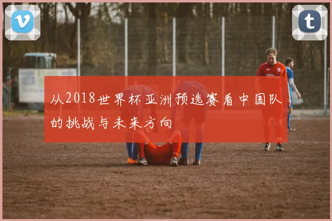 从2018世界杯亚洲预选赛看中国队的挑战与未来方向
