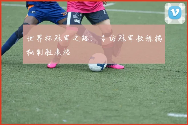 世界杯冠军之路:专访冠军教练揭秘制胜表格