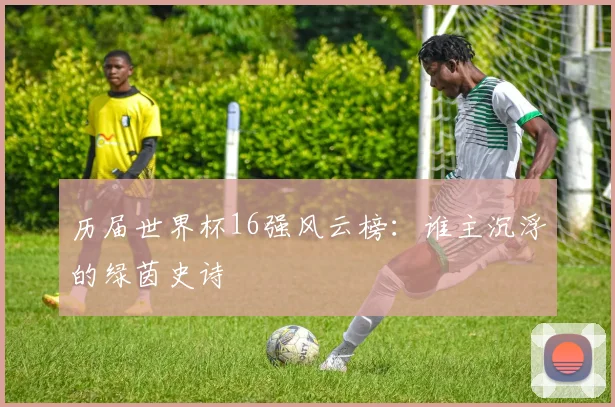 历届世界杯16强风云榜：谁主沉浮的绿茵史诗