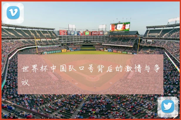 世界杯中国队口号背后的激情与争议