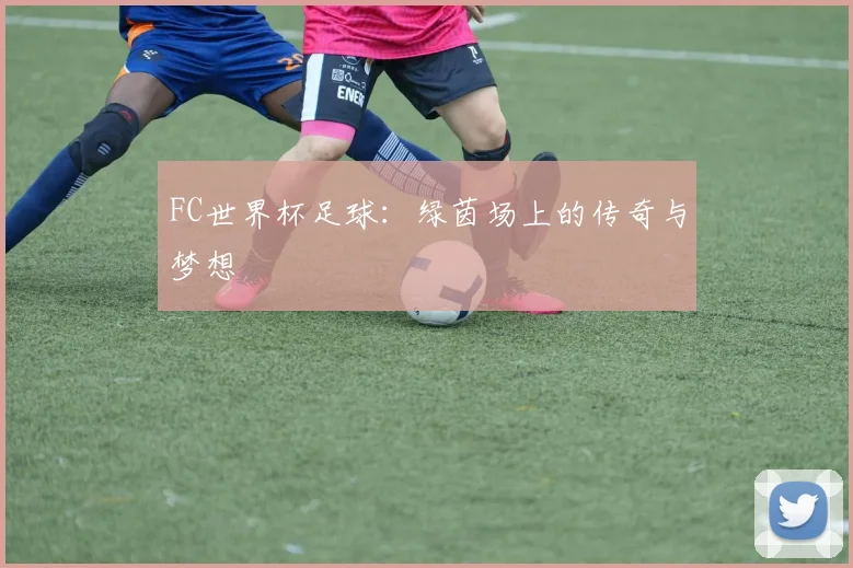 FC世界杯足球：绿茵场上的传奇与梦想