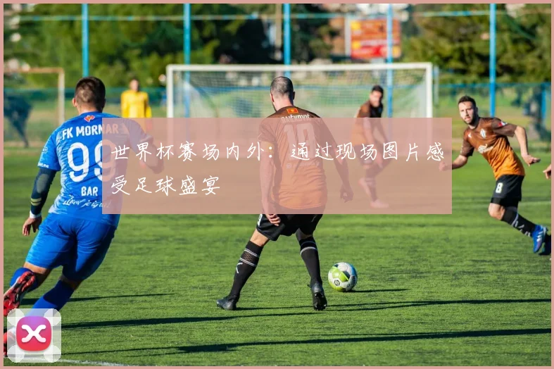世界杯赛场内外:通过现场图片感受足球盛宴